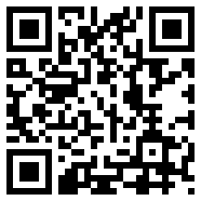 金砖弱网怎么使用升级版