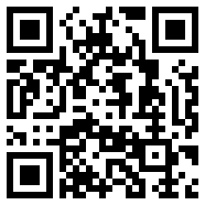 videoLeap