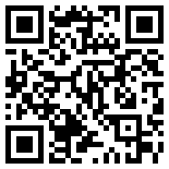 应用伪装