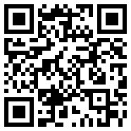 口袋大乱斗