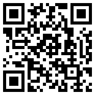 333ae.com