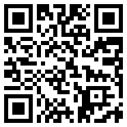 霸王2汉化版Web1.0版