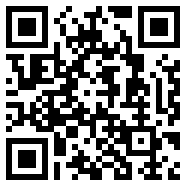 333ae.com