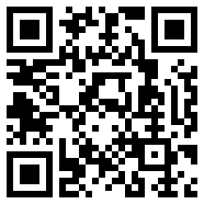 轻量版app
