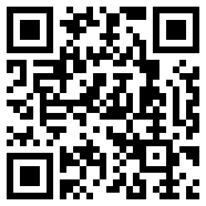 raysource下载